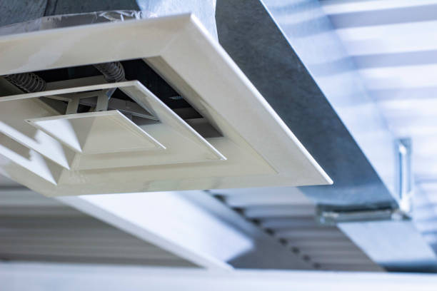 Best Air Duct Sanitizing Services  in Berwyn Heights, MD